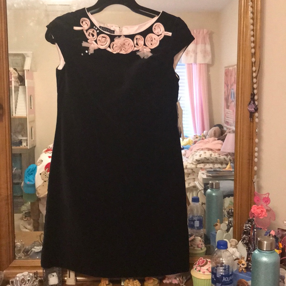 A Biscotti black velvet dress